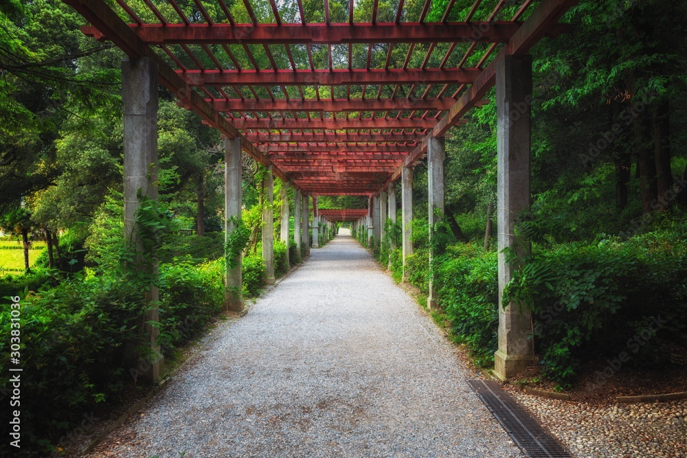 Green path in beautiful garden angle shot Green path in beautiful garden angle shot