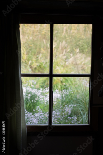 Window Frame Over Grass