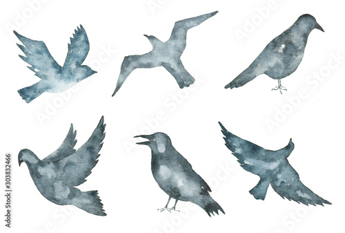 Watercolor set of birds isolated on white background.