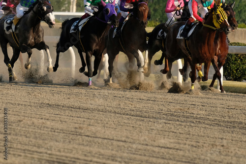 the scene of horse race in Japan Fototapet