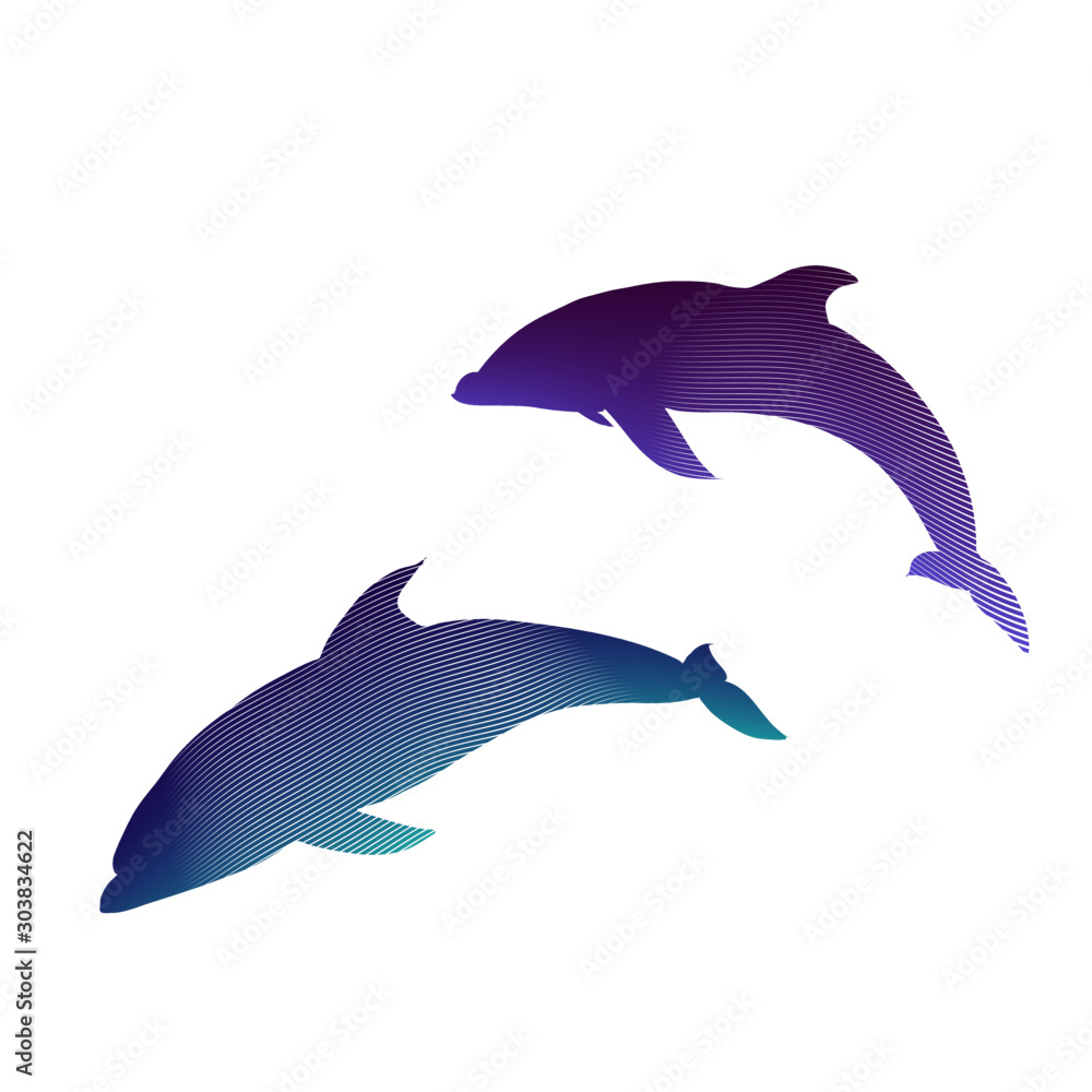 illustration of a dolphin illustration of a dolphin