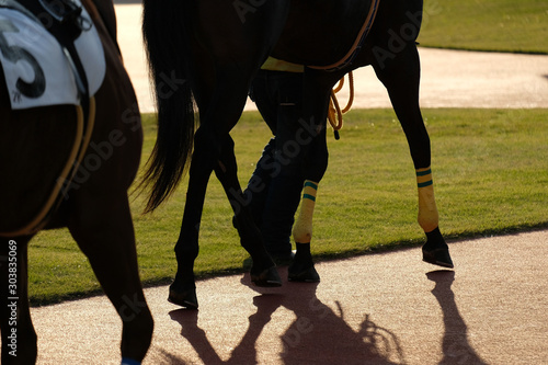 the scene of horse race in Japan