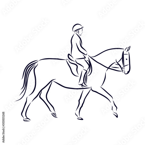 dressage horses  show jumping  vector sketch