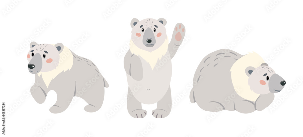 Set of cute cartoon polar bear. Arctic white bears isolated on white background. Vector illustration set.