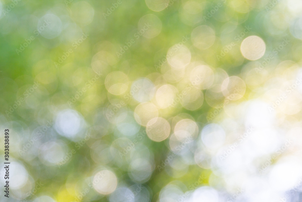 Natural green bokeh abstract background Natural green bokeh abstract background