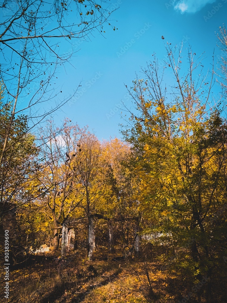 Autumn 2019 this is amazing day in Lviv Ukraine, love this memories. Photo Shoot on iPhone XS Max, location Lviv. This is great day in my city.. Love Autumn..