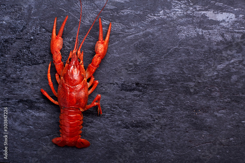 Boiled cooked crayfish crawfish ready to eat on dark blue cement background. Copy space. Overhead.