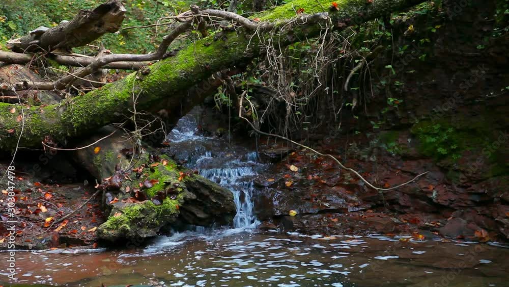 river stream in enchanted serene autumn forest in schwäbischer wald germany river stream in enchanted serene autumn forest in schwäbischer wald germany