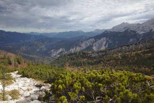 NB__9806 Mountain range with forest in autumn