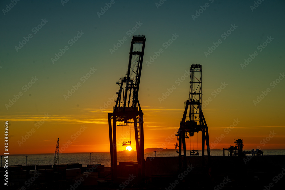 cranes at sunset