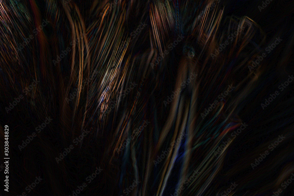 Abstract art of beautiful paint of feather for texture background and design,Colorful and fancy colored Abstract art of beautiful paint of feather for texture background and design,Colorful and fancy colored