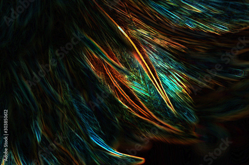 Abstract art of beautiful paint of feather for texture background and design,Colorful and fancy colored © Chunnapa