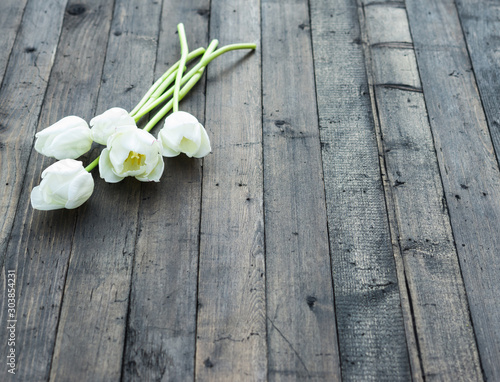 Fototapeta Naklejka Na Ścianę i Meble -  Flower. Tulip. Spring flowers. Bouquet of White Tulips on Dark wooden background. Copy space
