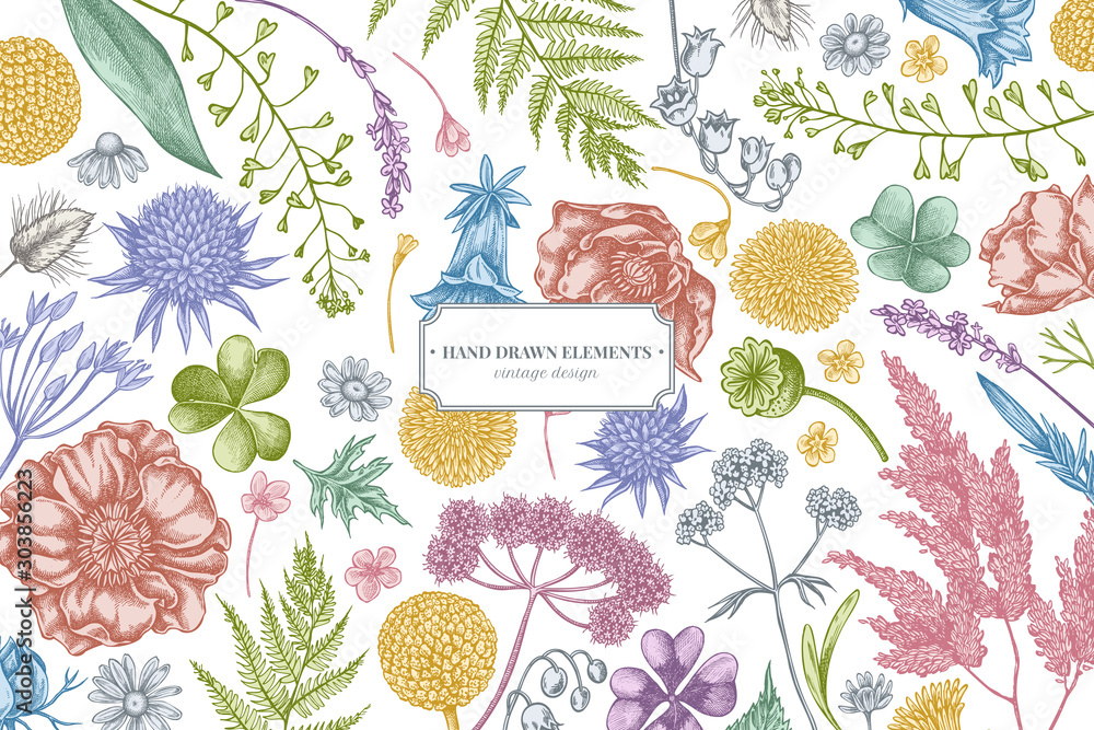 Φωτογραφία Floral design with pastel shepherd's purse, heather, fern, wild garlic, clover,