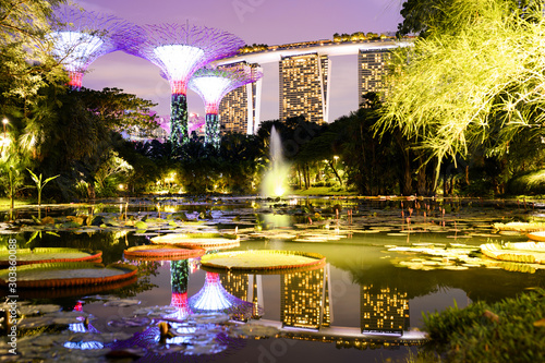 Stunning view of the Gardens By The Bay with the Supertree Grove  the Water Lily Pond in the foreground and the Marina Bay Sands luxury hotel in the background.