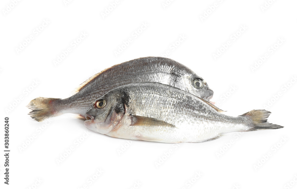 Fototapeta premium Fresh raw dorada fish isolated on white