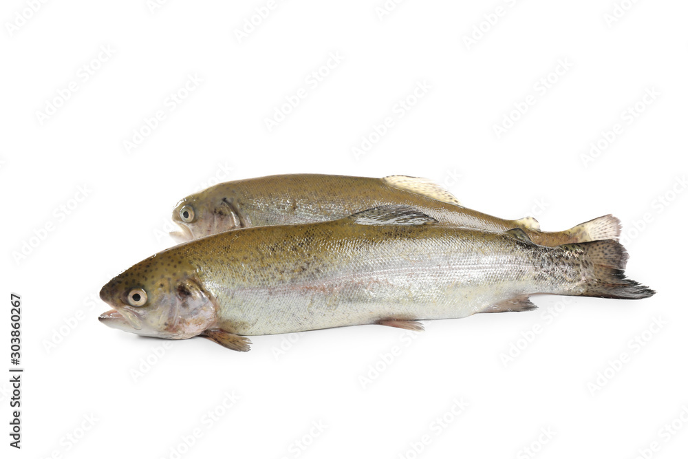 Raw cutthroat trout fish isolated on white Raw cutthroat trout fish isolated on white