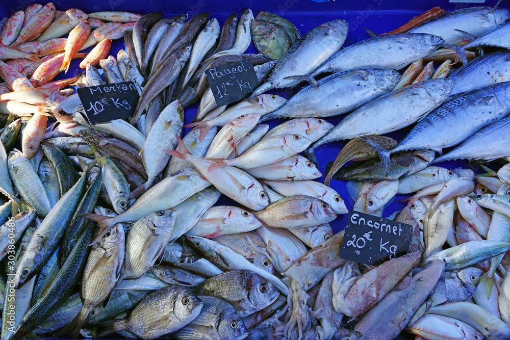 Fresh fish for making bouillabaisse soup for sale at a fish market on the Vieux Port in Marseille, France