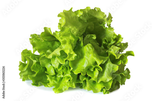 green lettuce leaves on white background