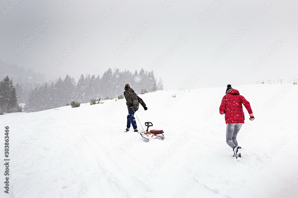 sled or ski winter sports activity, snow forest in snowfall cold, walk outdoor play fun