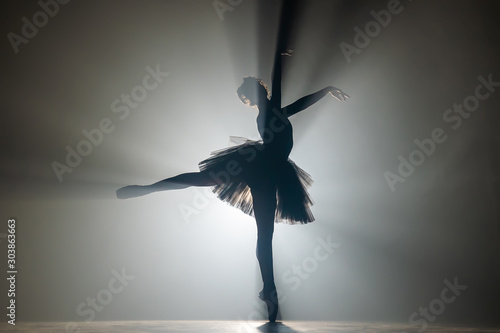 Leinwand Poster Professional ballerina dancing ballet in spotlights smoke on big stage