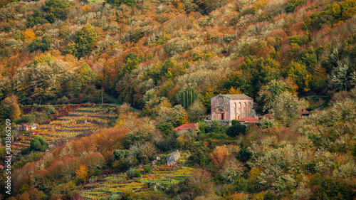 Santo Estevo de Ribas de Miño