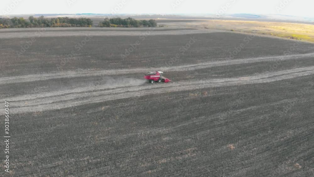Aerial view combine harvesting on sunflower field. Mechanized harvesting sunflower. Large field of dry sunflower. Crop in the field on a sunny day. Autumn harvest. Aerial view combine harvesting on sunflower field. Mechanized harvesting sunflower. Large field of dry sunflower. Crop in the field on a sunny day. Autumn harvest.