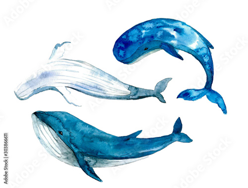 Cute watercolor whale. Dreams illustrations. Hand-painted realistic underwater animal art. Humpback, Grey, Blue, Killer, Cachalot, Bowhead, Beluga, for design, print, sticker or background postcard
