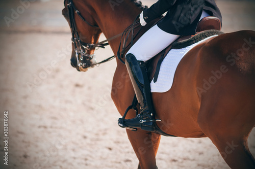 Dressed in a suit, the rider sits in the saddle on graceful chestnut horse lit by daylight and serving on the competition in dressage.