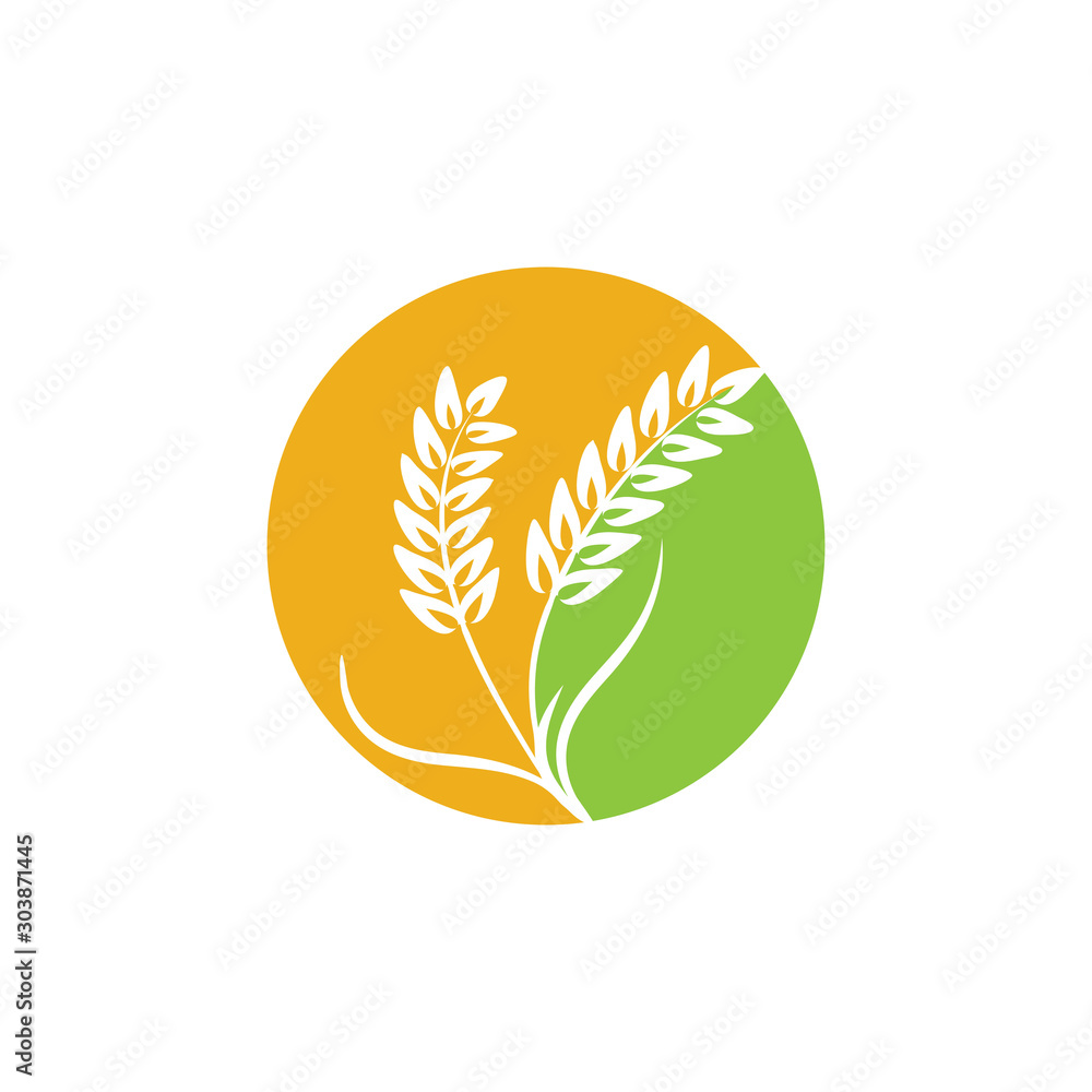 Agriculture Wheat logo template vector icon design Agriculture Wheat logo template vector icon design