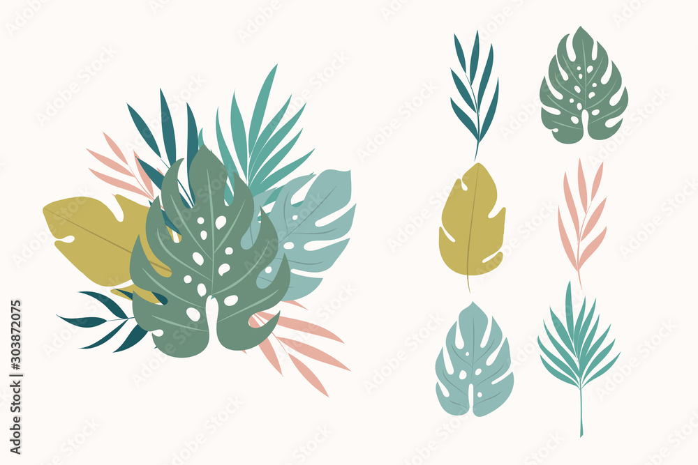 Tropical vector elemnts. Vector tropicl leaves Tropical vector elemnts. Vector tropicl leaves