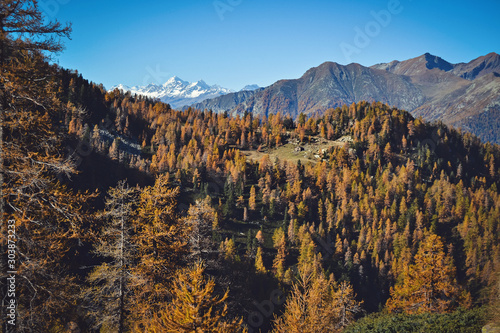 coloroful autumn mountains landscape, italian Alps