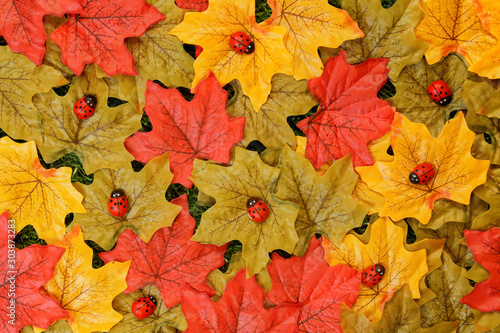 Autumn colors concept of red, green and yellow fabric maple leaves on grass background with red and black wooden ladybirds