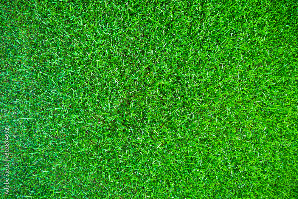 fresh green grass texture background fresh green grass texture background