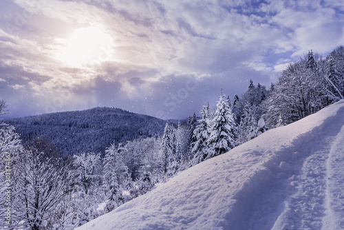Winter scene with mountains, forest and footpath
