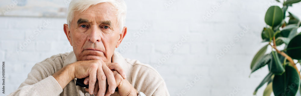 panoramic shot of senior man looking at camera and holding wooden cane in apartment panoramic shot of senior man looking at camera and holding wooden cane in apartment