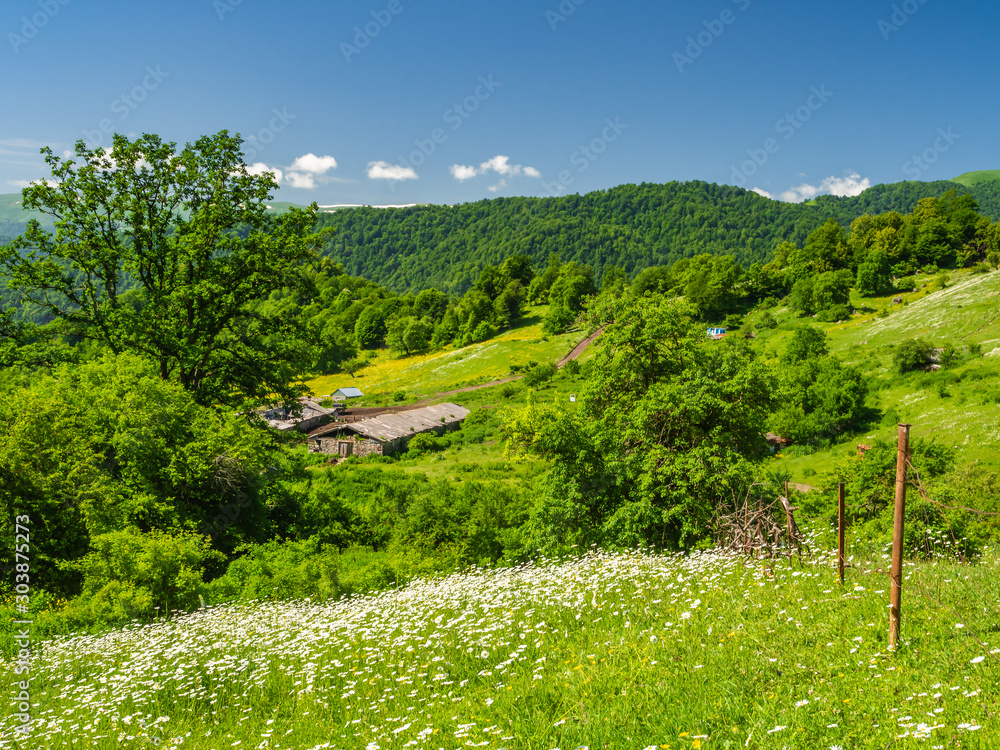 Summer mountain landscape with a farm in a beautiful valley.