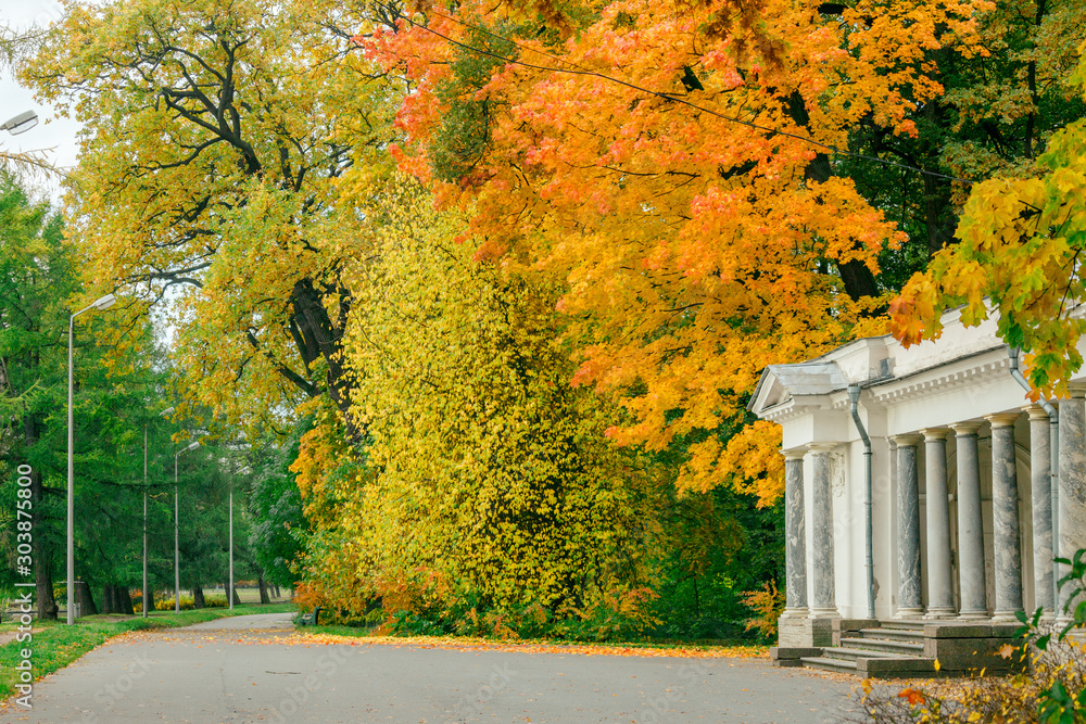 A fine, autumn day in the Central Park of St. Petersburg