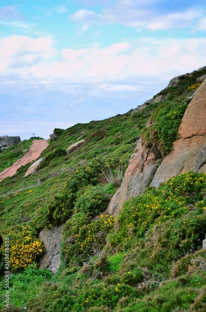 Rock with flowering slopes against the background of the ocean
