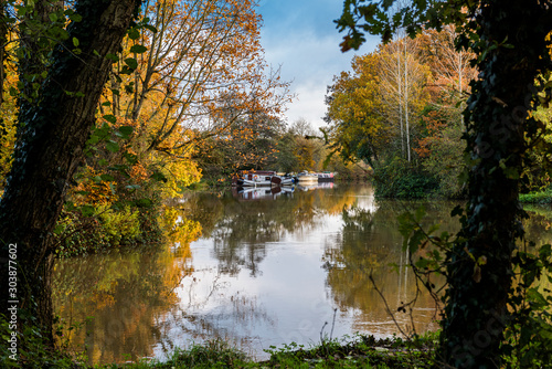 Fototapeta Naklejka Na Ścianę i Meble -  The River Medway between Maidstone and Tonbridge in Autumn
