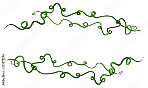 Plant Vines Green, Curly Decoration Line