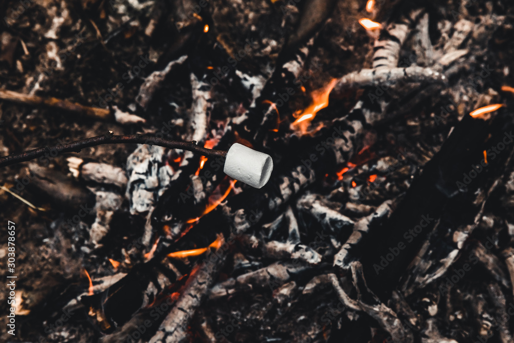 Marshmallows roasting on the camp fire and getting nicely golden brown. Marshmallows roasting on the camp fire and getting nicely golden brown.