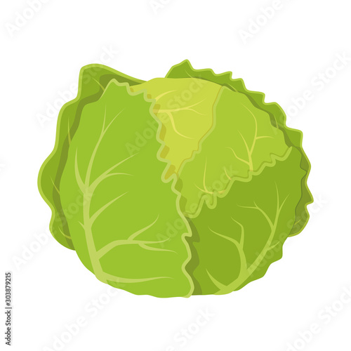Vector illustration of a funny lettuce in cartoon style.