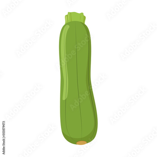 Vector illustration of a funny zucchini in cartoon style.