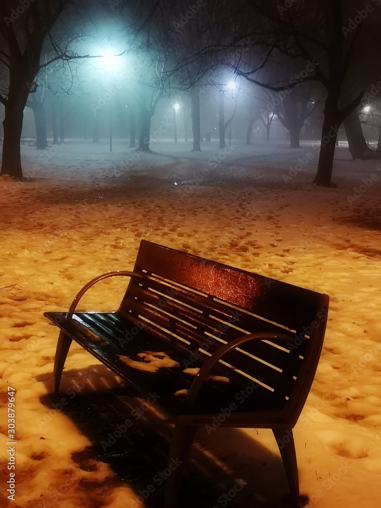 Mystical fog in night park