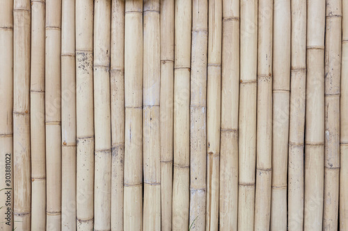 bamboo wooden backgrund