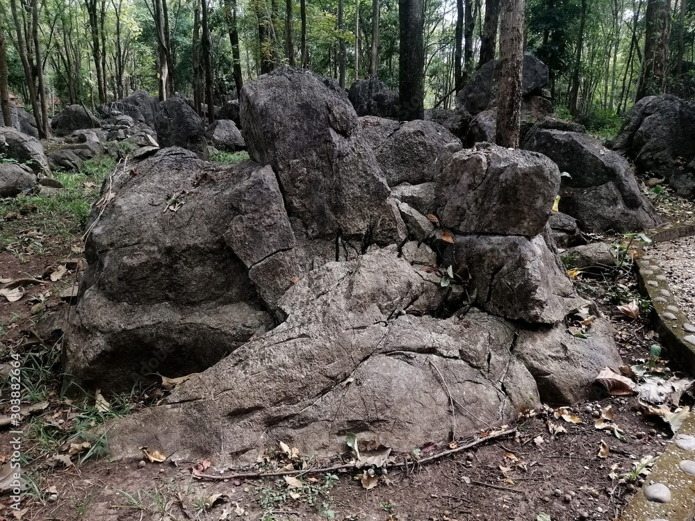 Strange stone in the forest, The limestone and shale are mixed together layers, mainly Triassic age limestone gray type Biomicrite. There is noise and grain caused by the texture of the stone. Strange stone in the forest, The limestone and shale are mixed together layers, mainly Triassic age limestone gray type Biomicrite. There is noise and grain caused by the texture of the stone.