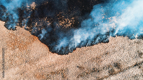 Forest and field fire. Dry grass burns, natural disaster. Aerial view. View vertically from top to bottom, the camera gradually descends from a height down. © nordroden