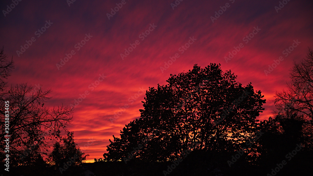 Fototapeta premium Beautiful sunset with silhouetted trees