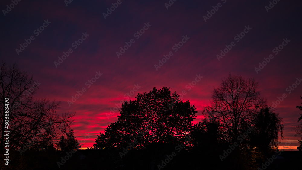 Beautiful sunset with silhouetted trees Beautiful sunset with silhouetted trees